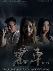 国产黑车全集视频在线,揭秘地下交通世界的惊险历程