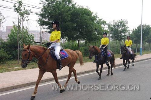 骑马视频国产在线观看免费,国产骑马视频在线观看盛宴