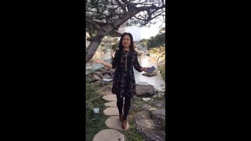 ladyyuan国产精品小视频,探索中国影视新风尚