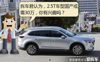 30万买国产7座车视频,空间大、配置高，性价比之王