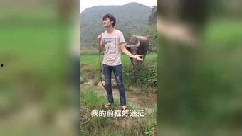 国产福利污视频,揭秘网络暗流涌动的秘密世界