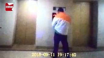 国产女孩尿尿视频,揭秘真实尿尿瞬间