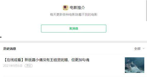 国产首创视频网址,探索创新与文化的融合之旅