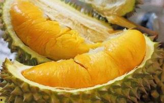 国产榴莲测评视频,口感与品质的双重体验