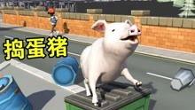 国产肥猪哥视频在线,趣味横生，笑料不断，带你领略国产猪圈风采